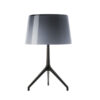 Table lamp Lumiere TL XXS Aluminum | gray Foscarini Rodolfo Dordoni 1