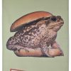 Strofinaccio Toiletpaper - Toad Multicolore|Beige Seletti Maurizio Cattelan|Pierpaolo Ferrari