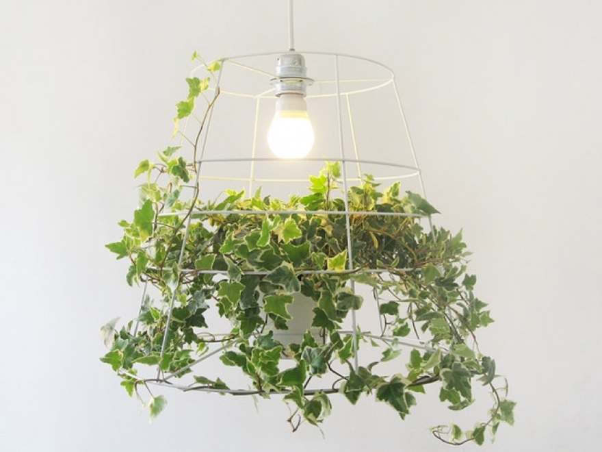 Photosynthesis lamp by Meirav Barzilay