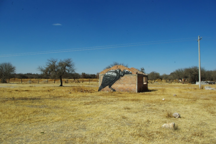 ROAs_Magic_Naturalism_Street_Arts_in_Mexico_5