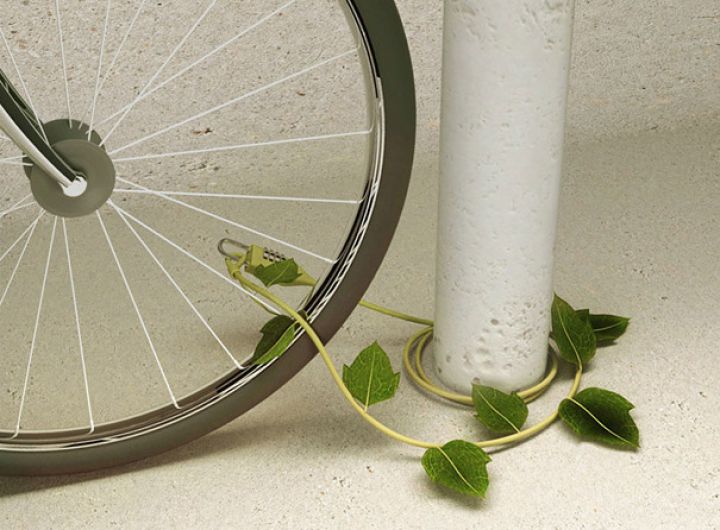 ivy-bicycle-cable-wire-1