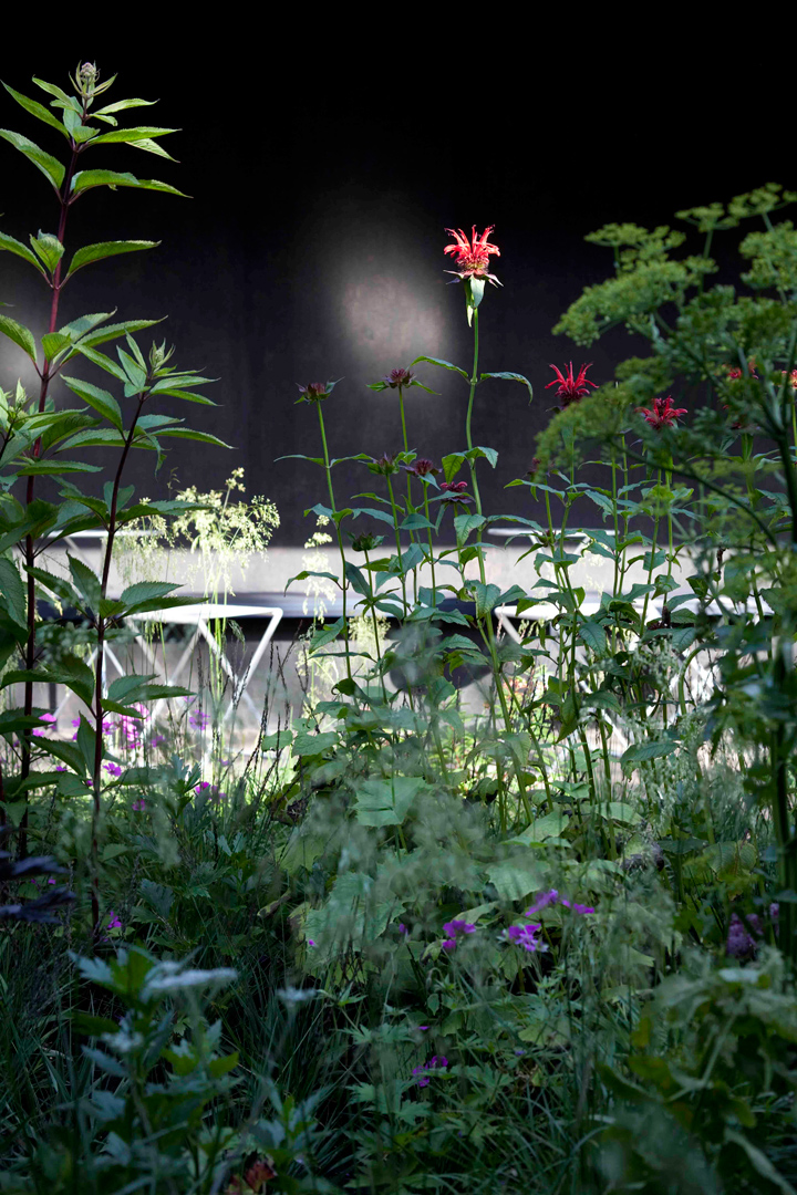 06-Pyè-Zumthor-Serpentine-Gallery-Pavilion-2011