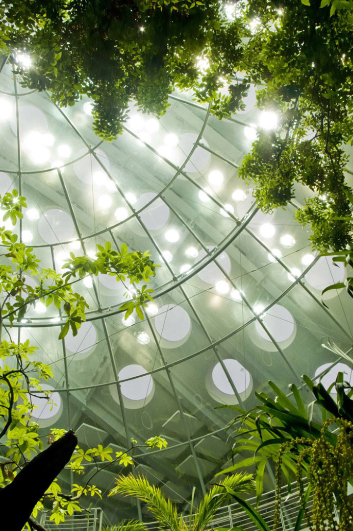 California-akademik-of-sciences-green-roof 10