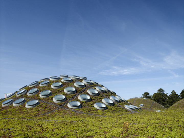 California-academy-of-sciences-green-roof 2