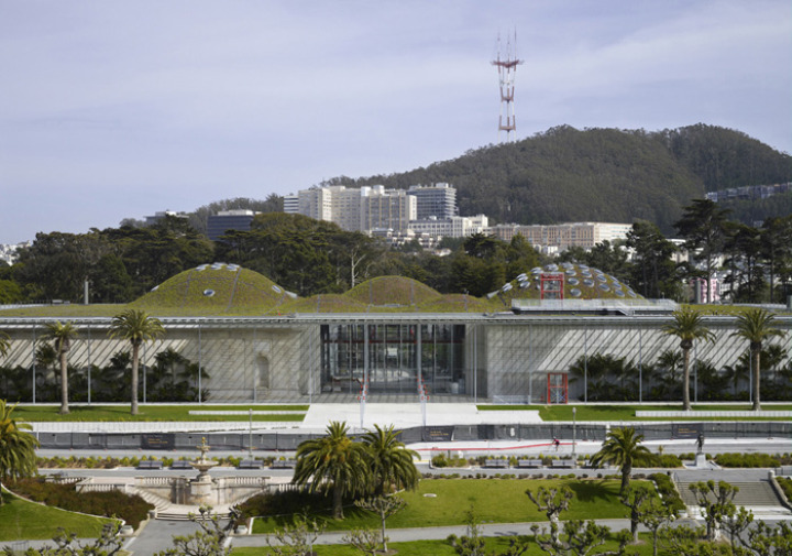 California-academy-of-sciences-vert-toit 5