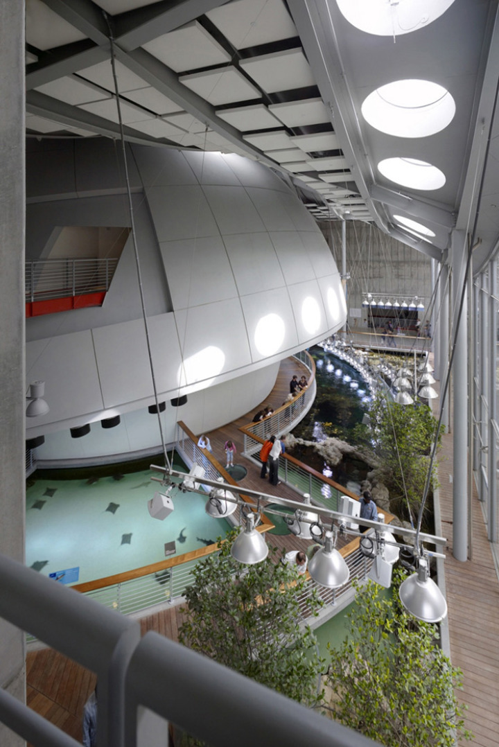 California-academy-of-sciences-green-roof 8