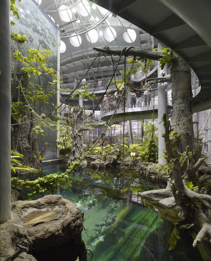 California-academy-of-sciences-green-roof 9