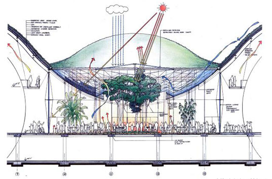 California-academy-of-ciências