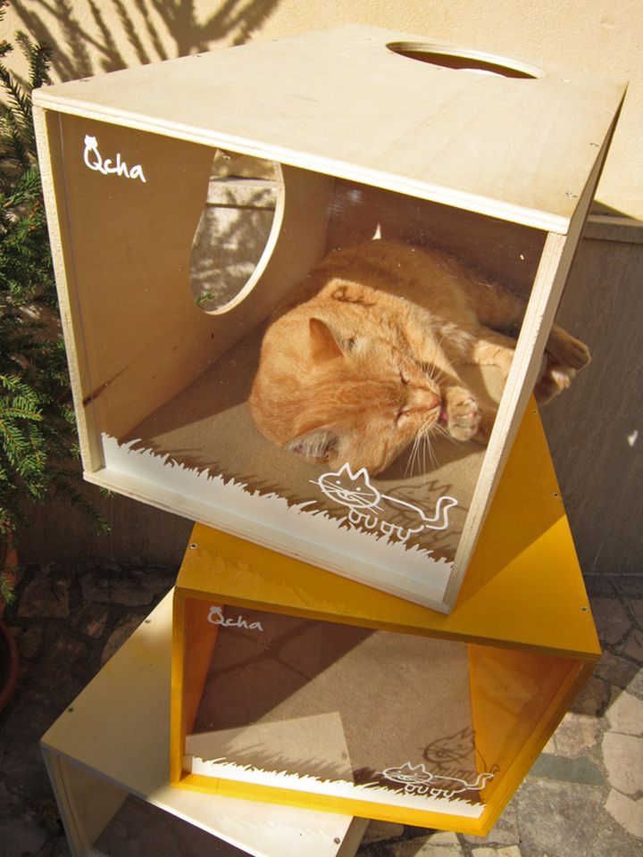 qcha la maison cat-07