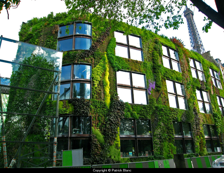 Musée du quai Branly 1