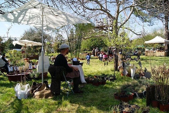 der Garten in der Zeit der Krise-01