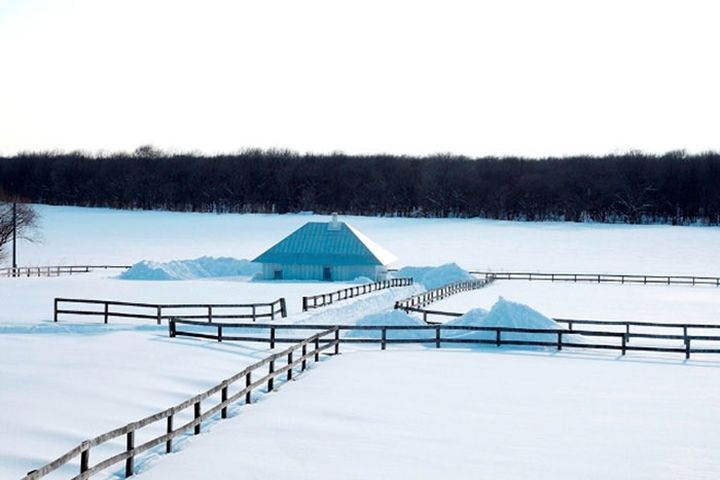 kengo kuma associates meme translucent house-04