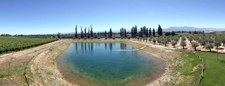 περιοχή τέχνης mendoza 02