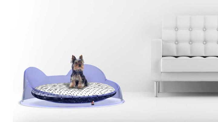 pet bed-settee