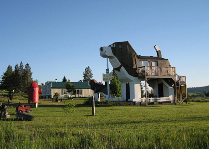 Dog-Shaped-Hotel-003