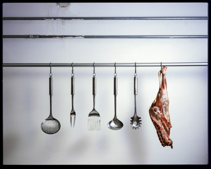 composition of irons and meat