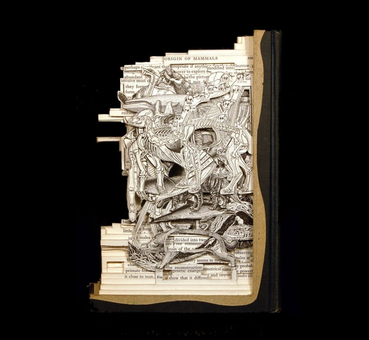 l'art du livre sculpture-socialdesignmagazine27