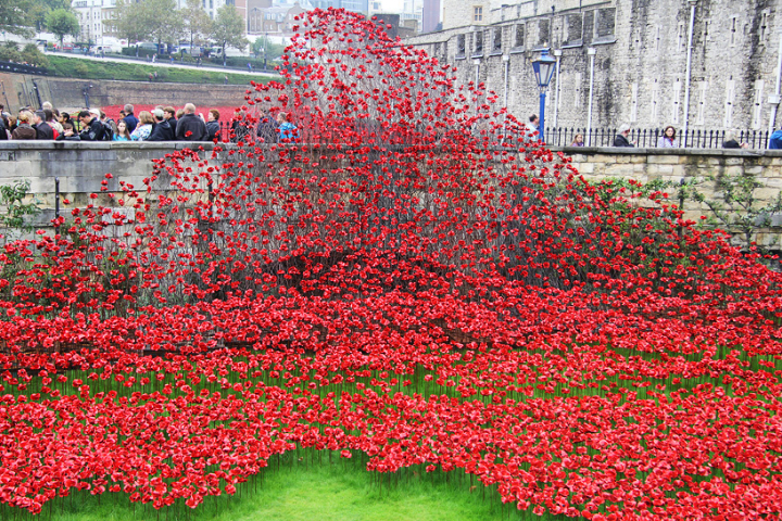 céramique-coquelicots-tour-de-londres-socialdesignmagazine01