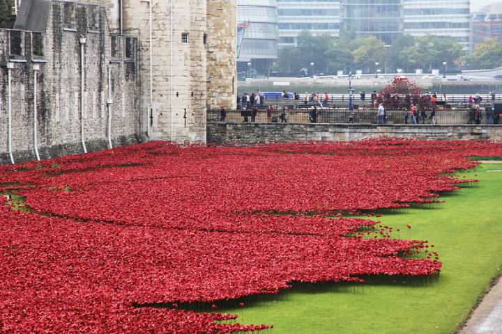 cerámica-amapolas-torre-de-londres-socialdesignmagazine03