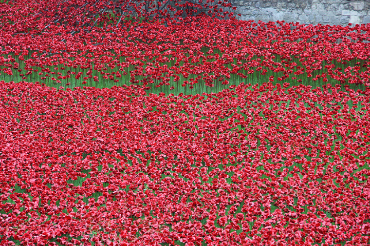 Keramik-Mohn-tower-of-London-socialdesignmagazine04