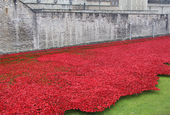 céramique-coquelicots-tour-de-londres-socialdesignmagazine05