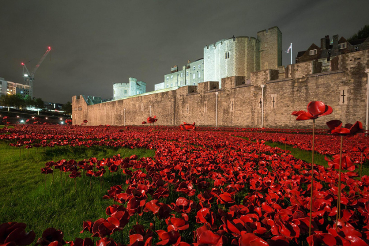 cerámica-amapolas-torre-de-londres-socialdesignmagazine06