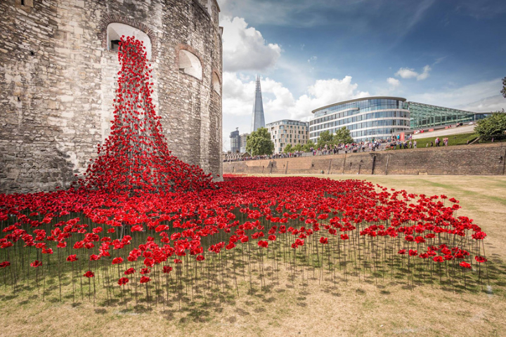 cerámica-amapolas-torre-de-londres-socialdesignmagazine08