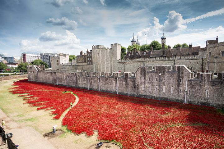 cerámica-amapolas-torre-de-londres-socialdesignmagazine12