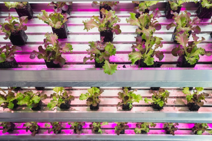 2015 futuro distrito supermercado de alimentos ratos milan expo 07 carlo associado