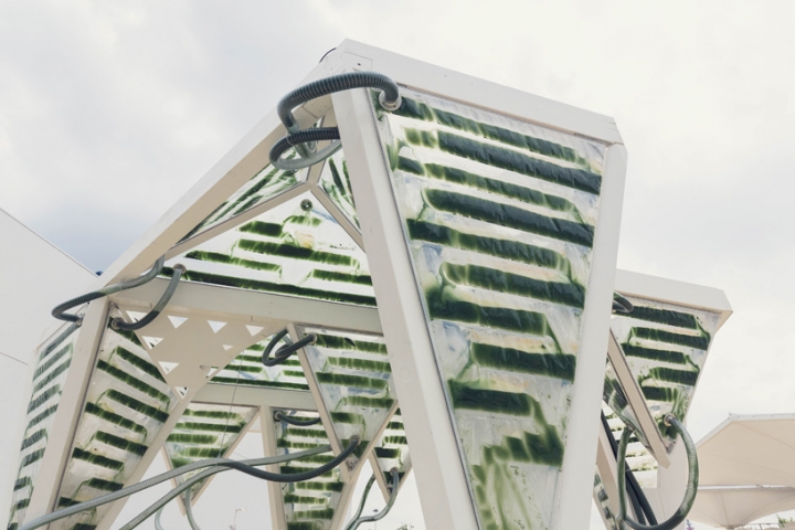 2015 futuro distrito supermercado de alimentos ratos milan expo 08 carlo associado