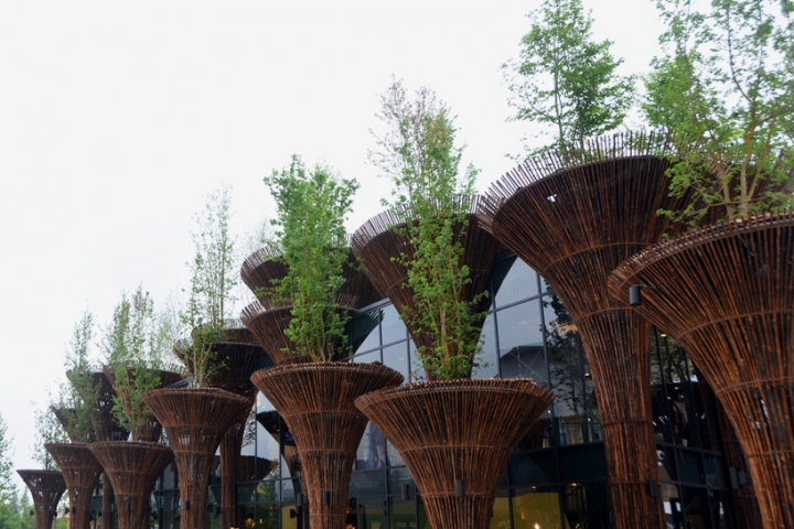 milan expo pavillon vietnam trong nghia vo 2015 02