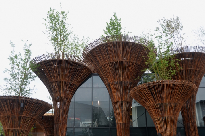 milan expo pavilion vietnam trong nghia vo 2015 03