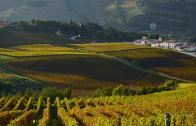 Wine Resort Emilia Romagna 2
