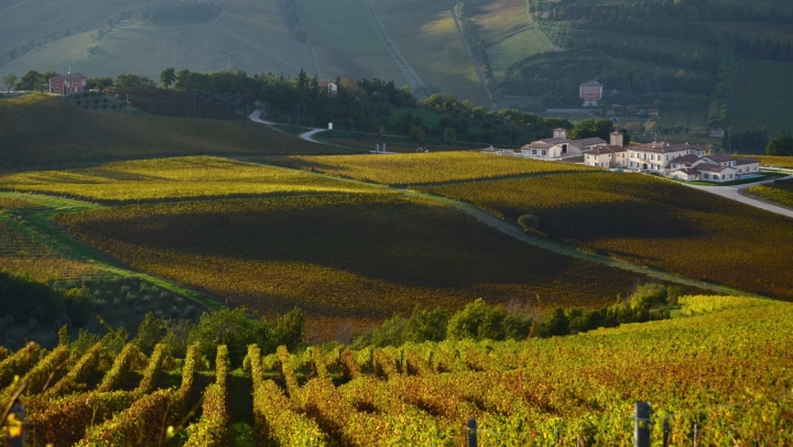 Wine Resort Emilia Romagna 2