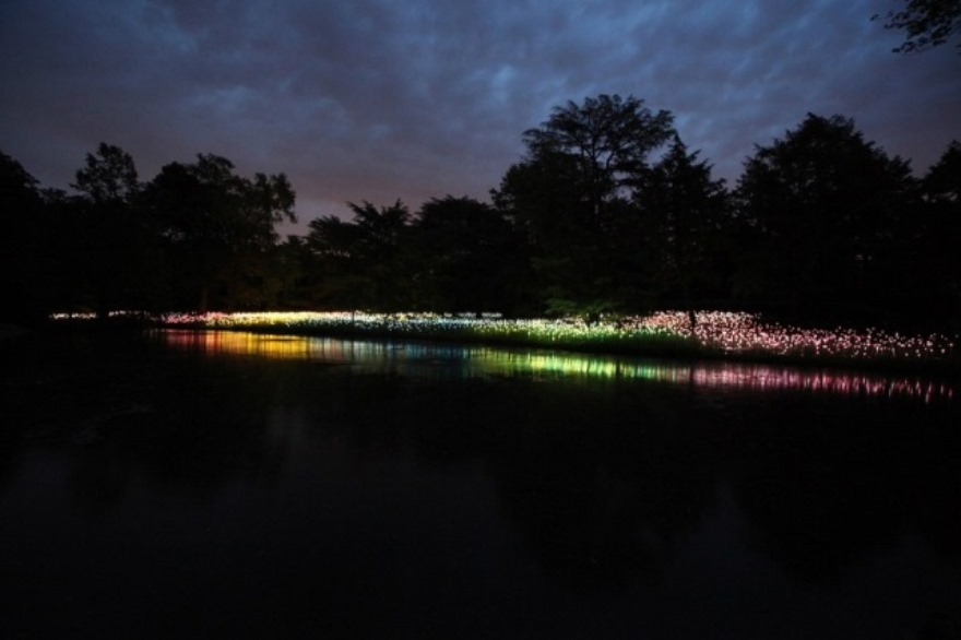 LIGHT!-di-Bruce-Munro-5_hg_temp2_l_full_l