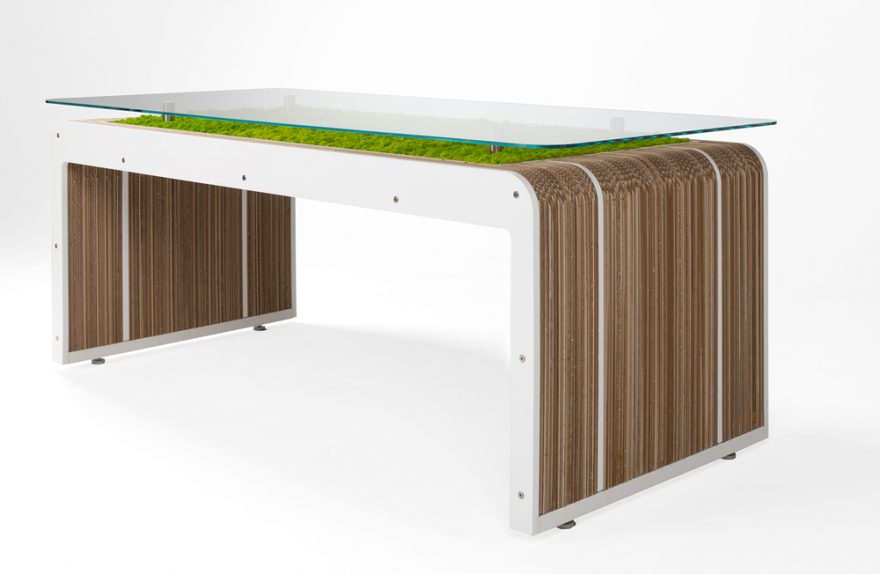 Plus Desk Plus vivent avec lichen