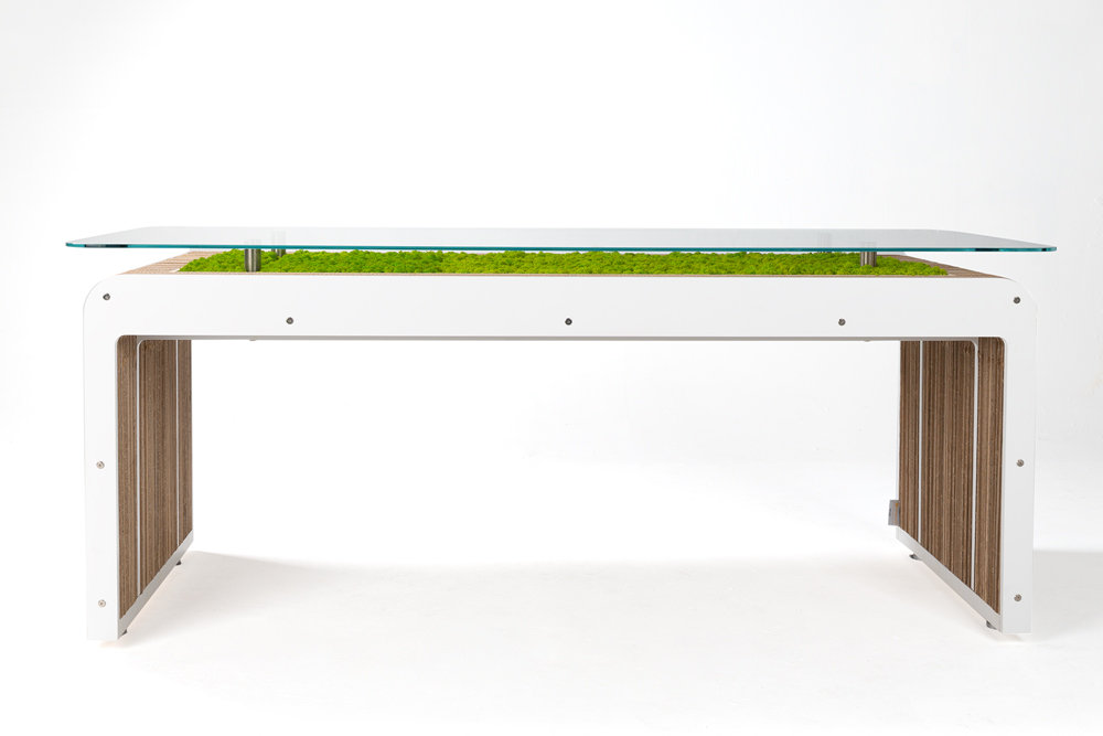 More Desk Plus con licheni vivi