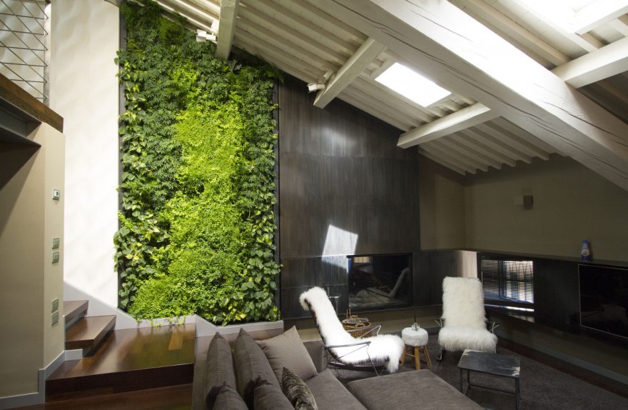 Il giardino verticale di sundar italia per un moderno loft Giardino in verticale