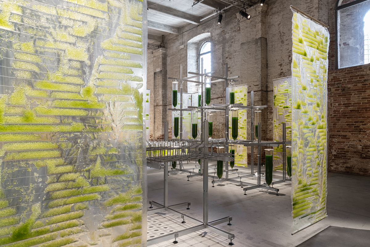 É un laboratorio urbano che combina un’architettura avanzata con la microbiologia, l’installazione BIT.BIO.BOT alla biennale di architettura di Venezia 2021