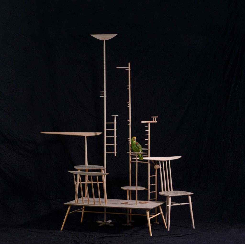Studio Ossidiana Möbel für einen Menschen und einen Papagei ph.Riccardo de Vecchi