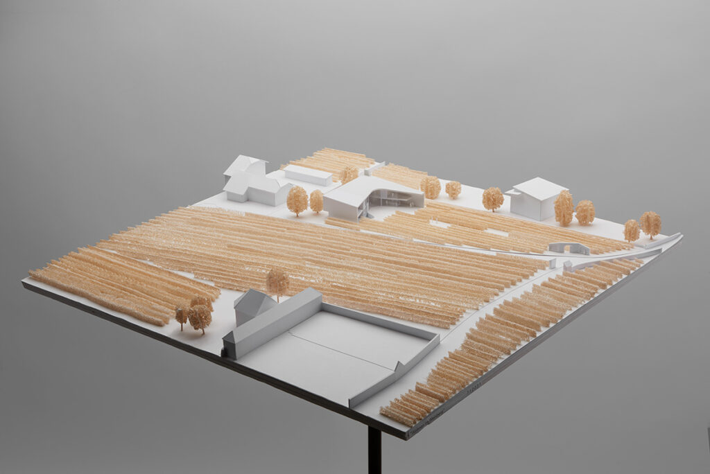 MoDusArchitects Visibilio House model ©Ilse Pallua