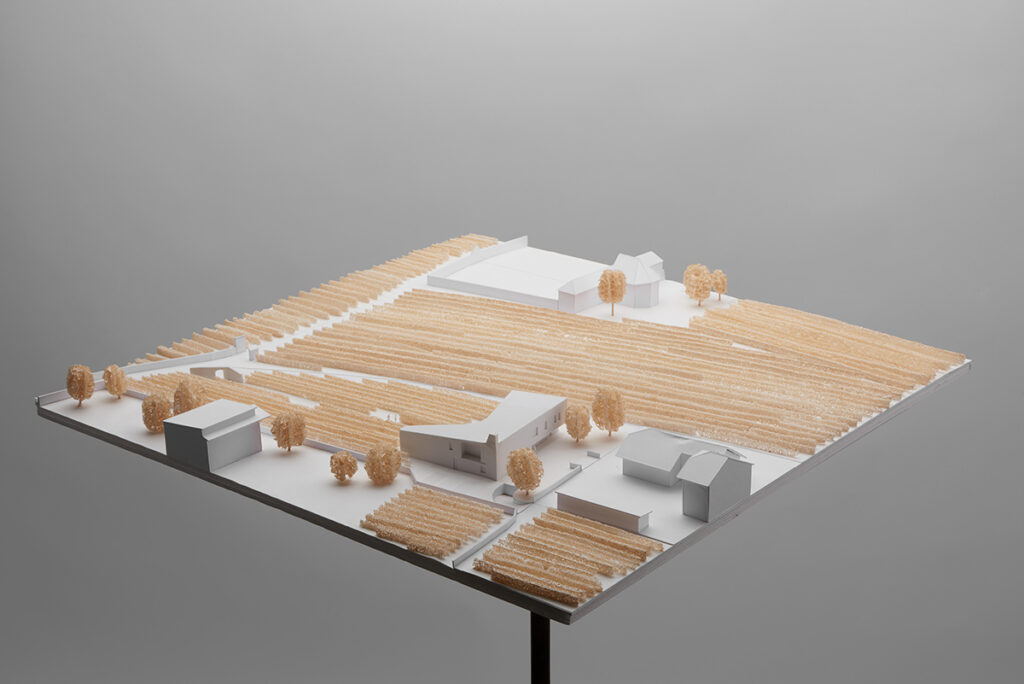 MoDusArchitects Visibilio Modelos de casas ©Ilse Pallua