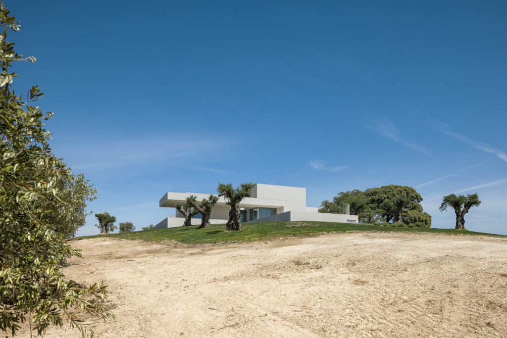 DP Arquitectos. casa na romeira