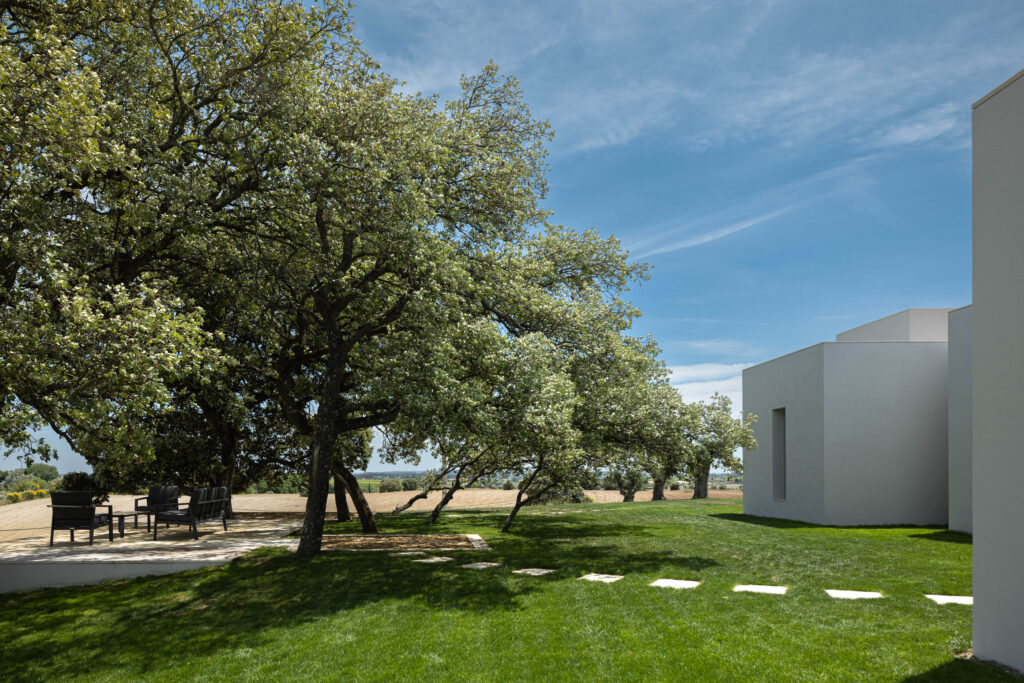 DP Arquitectos. casa na romeira